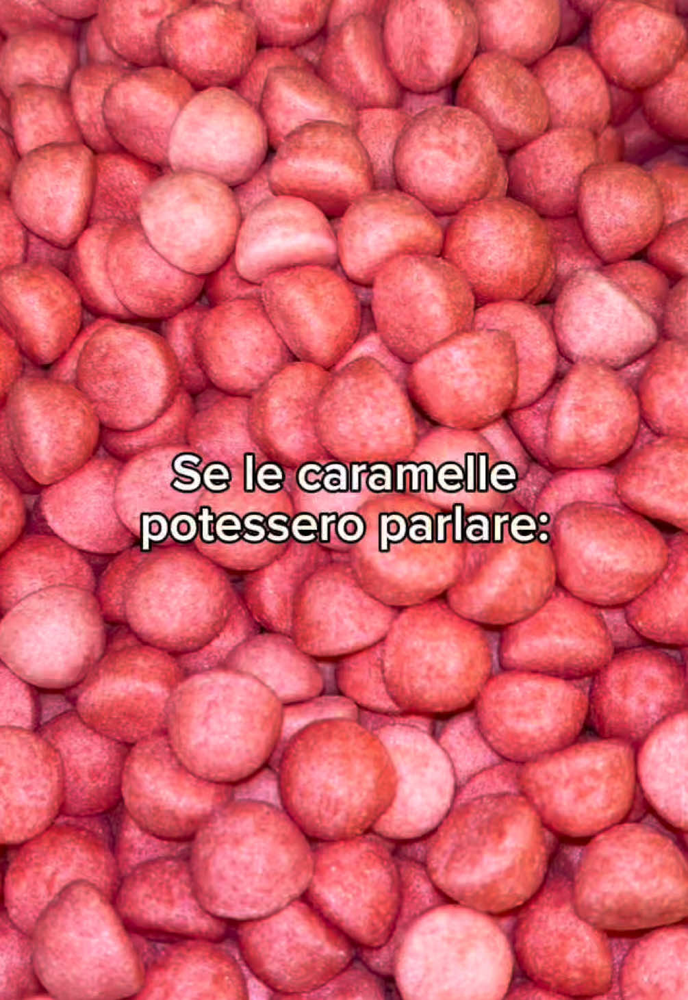 @Le Caramelle Dei Pirati
