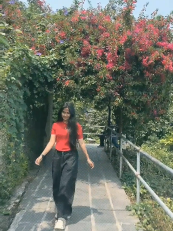 @SABINA 🦚🦋