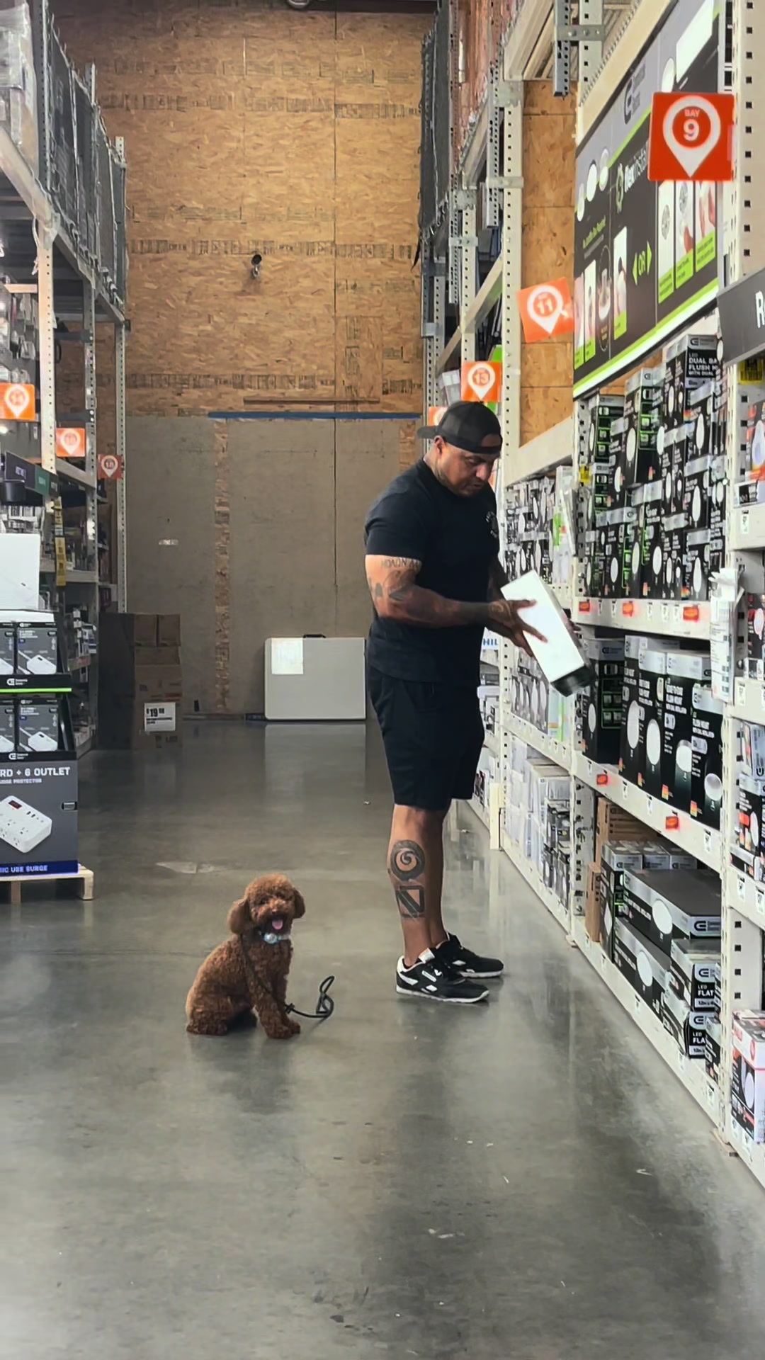 @Tactical K9s Dog Training