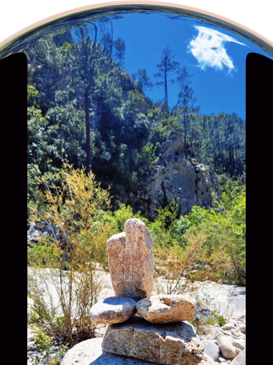 @💫🍃Evy2b🌸💫