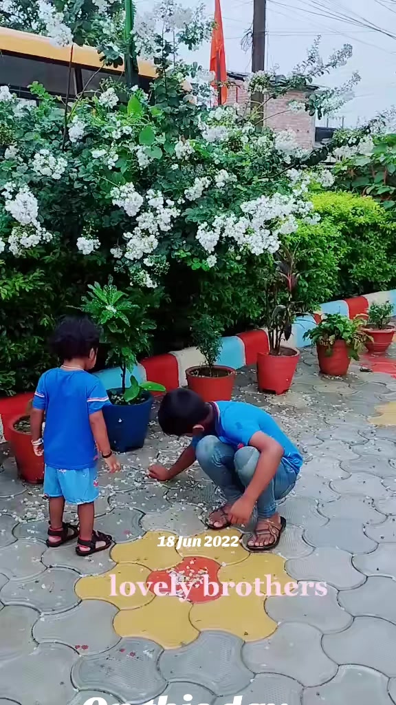 @Vidyanand Yadav