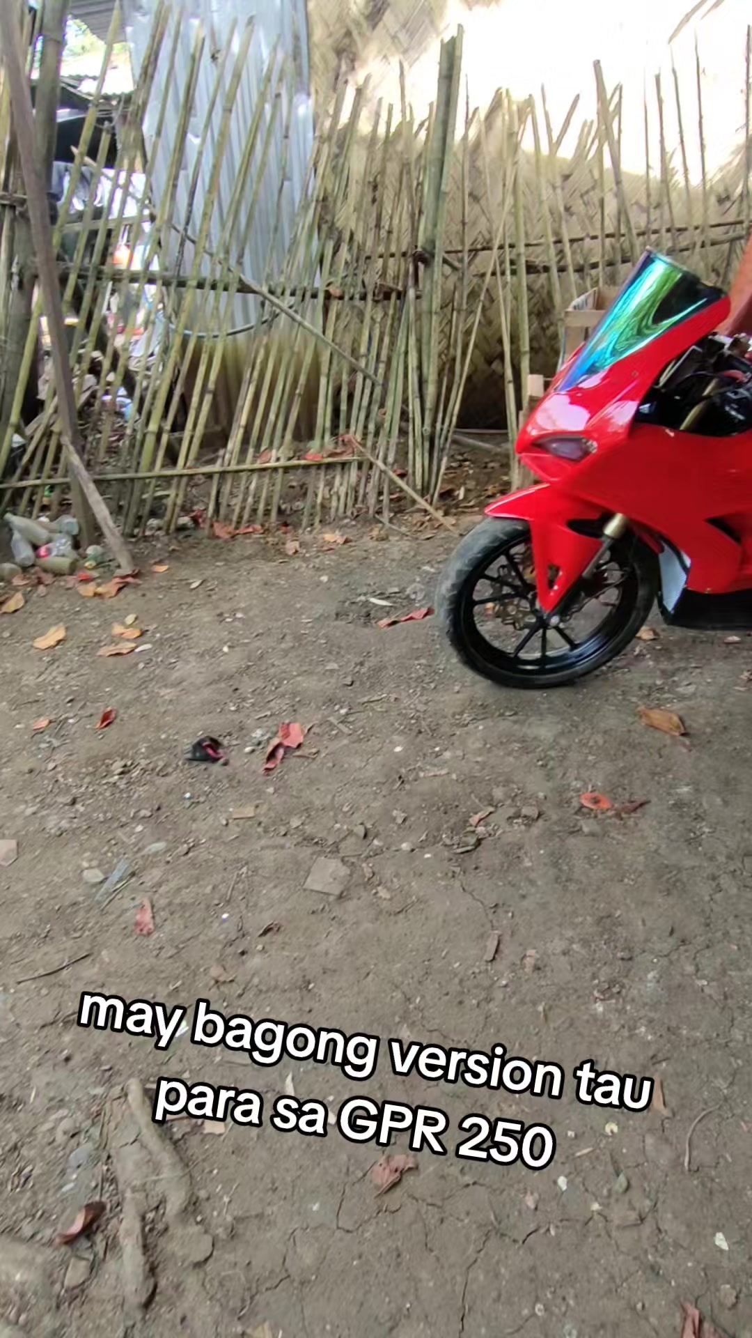 @palawan modified fiber