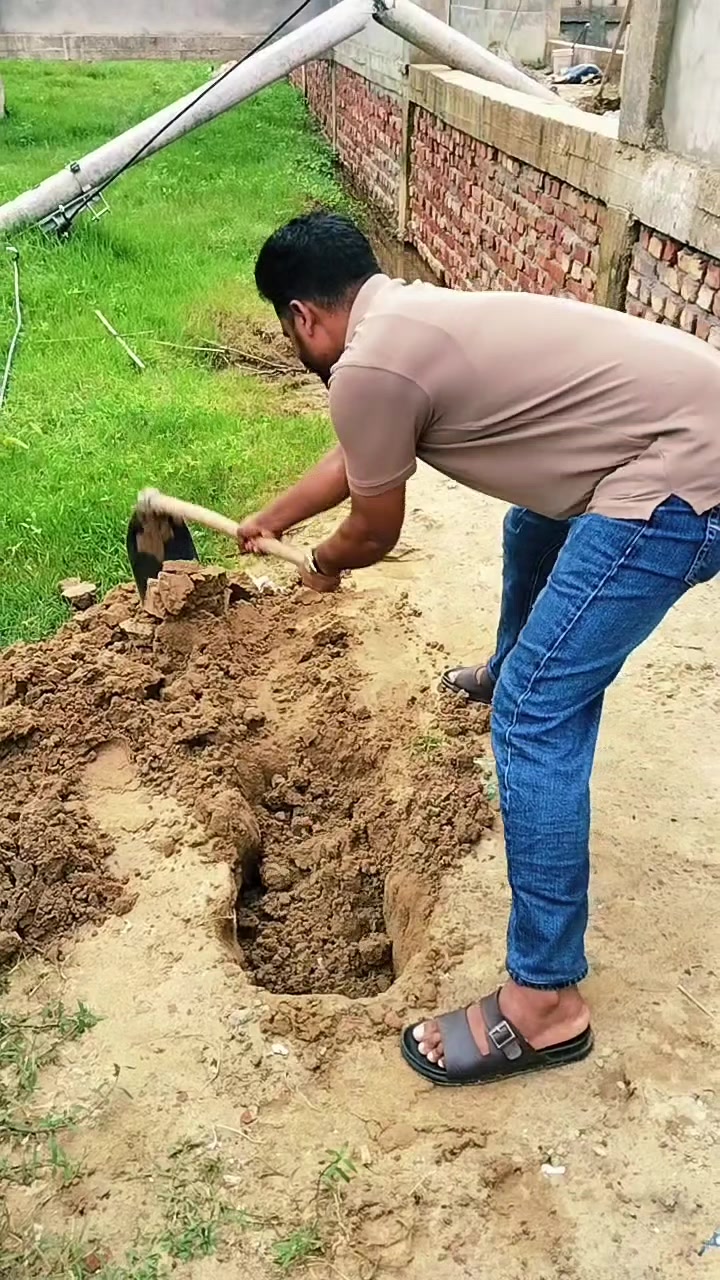 @আলিফ বিন