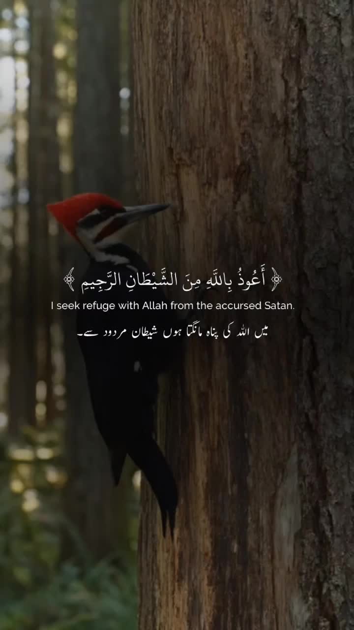 @Safar-e-Ishq