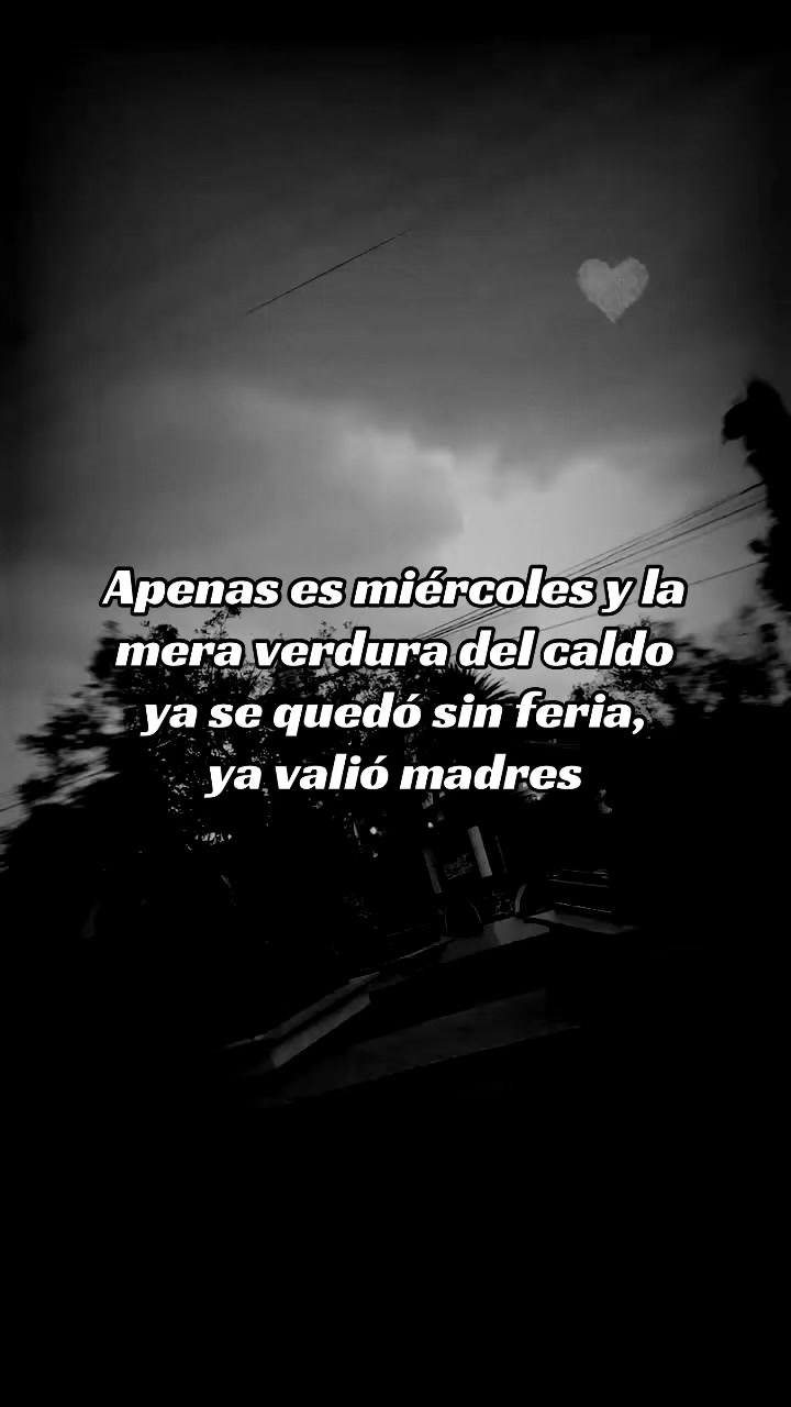 @🫧”Hola soy quiroz” 🫧