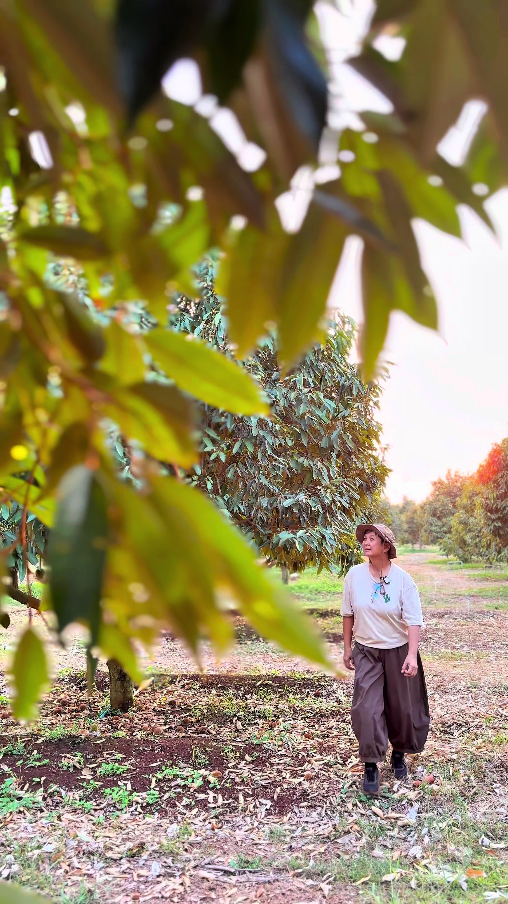 @ไร่วันยังขำ Oneyoungkham farm