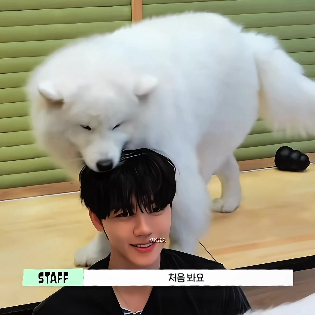 @𝘈𝘯𝘢𝘴.