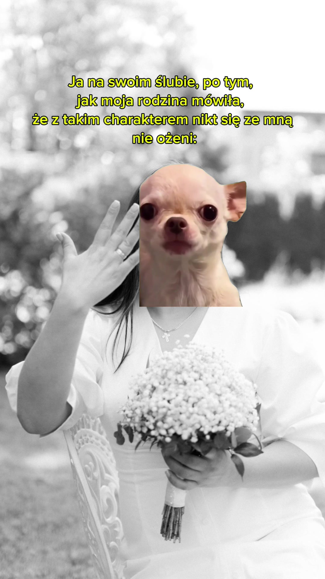@Vita Nowak