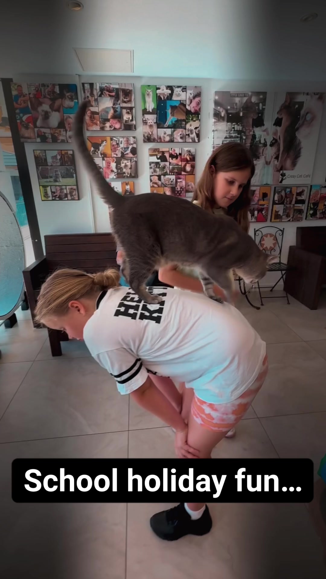 @crazycatcafe