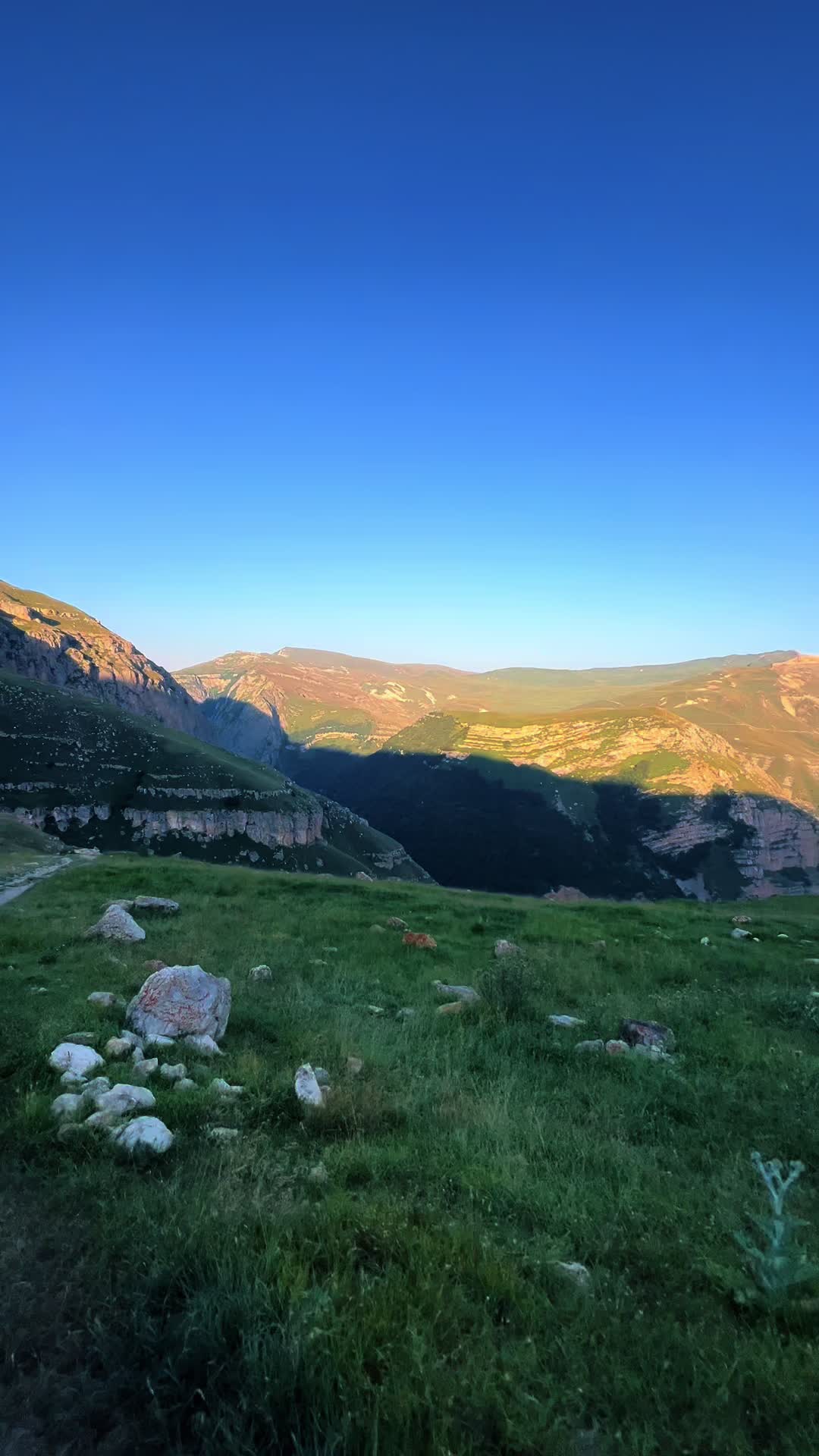 @DİMA ✅️