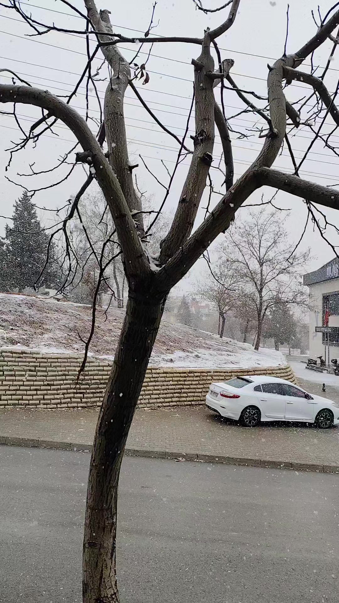 @gülbahar.27