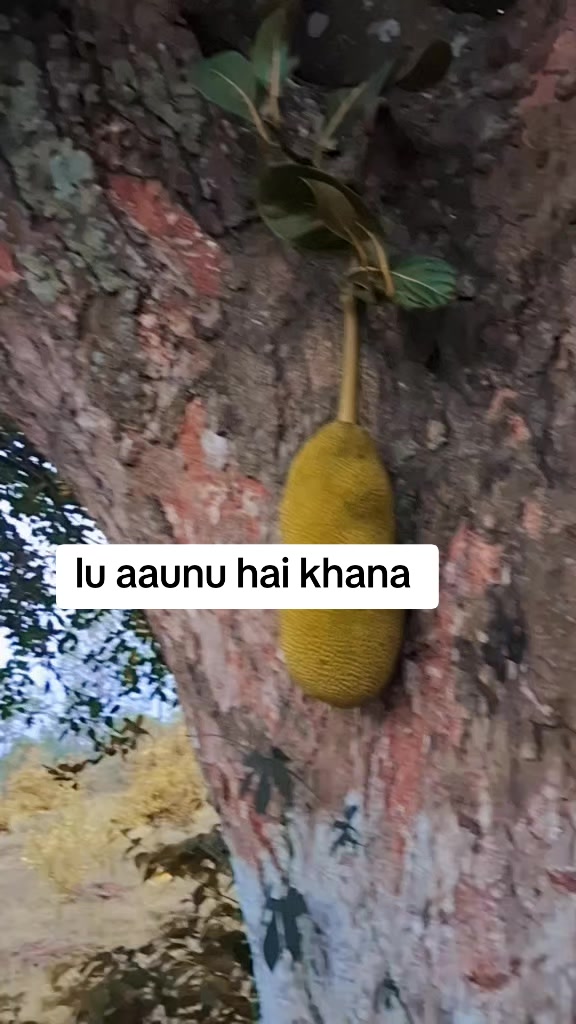 @Brinda Karki