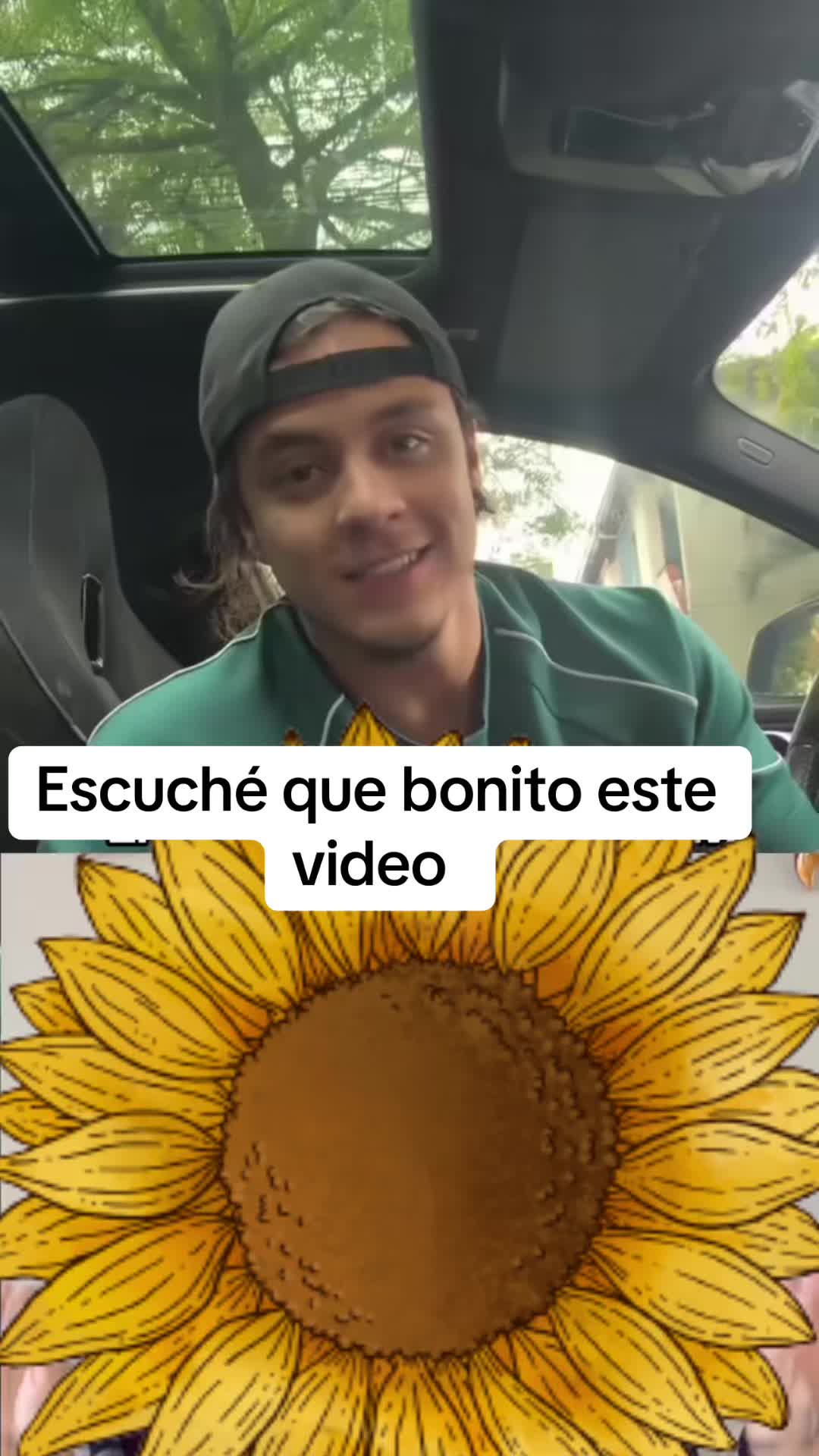 @Luzalcantara 8040