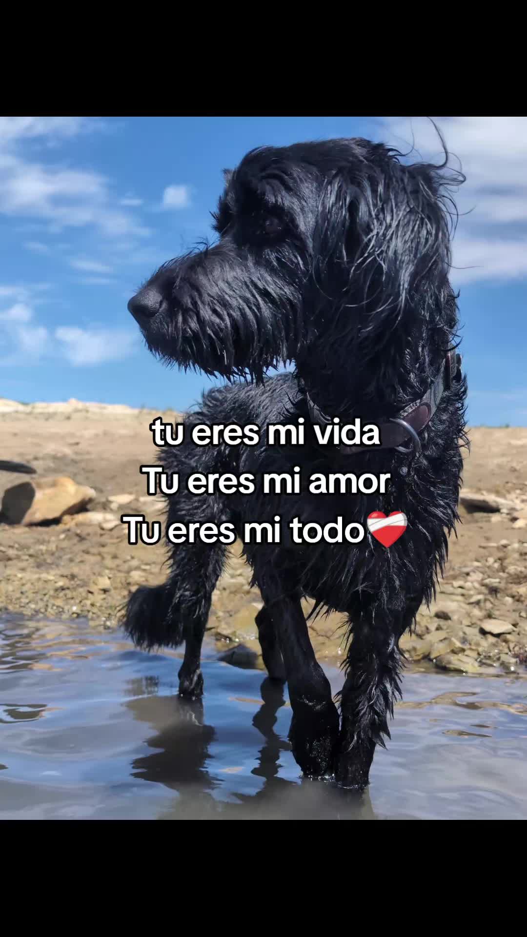 @kieee💥
