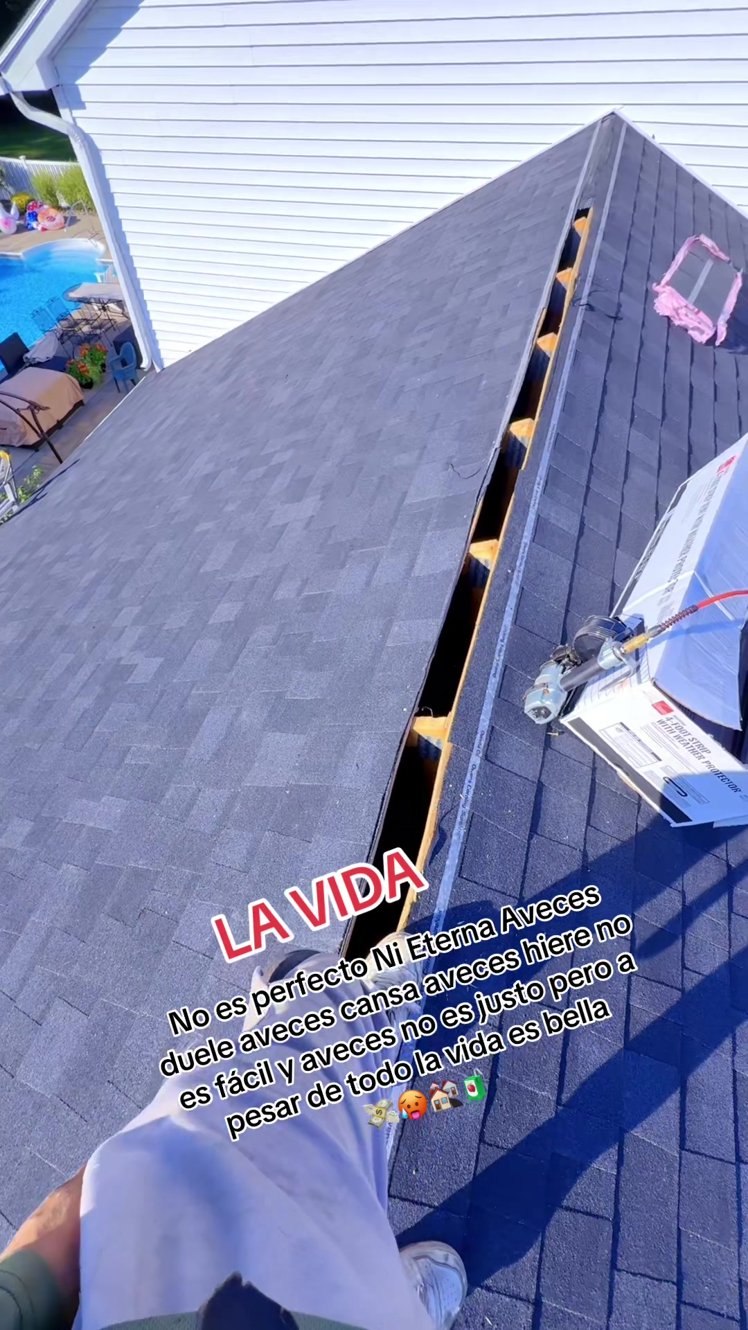@🦍💥🪐l&rsquo;m 𝒉𝒆𝒄𝒕𝒐𝒓🇪🇨🇺🇲