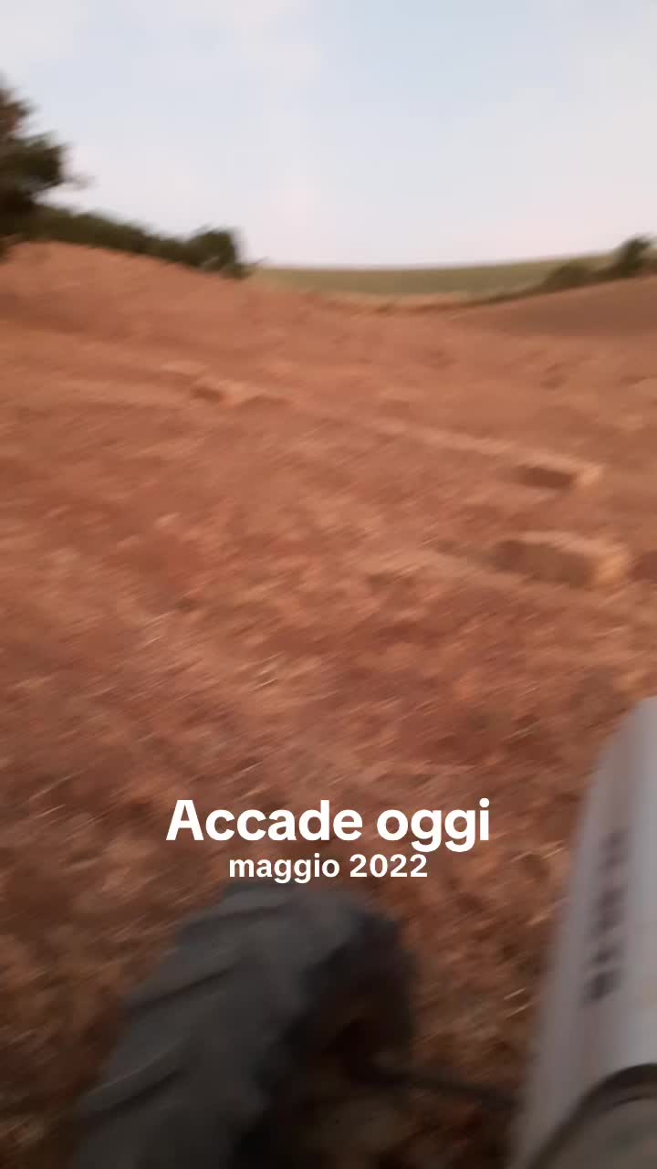 @Franco Falcone