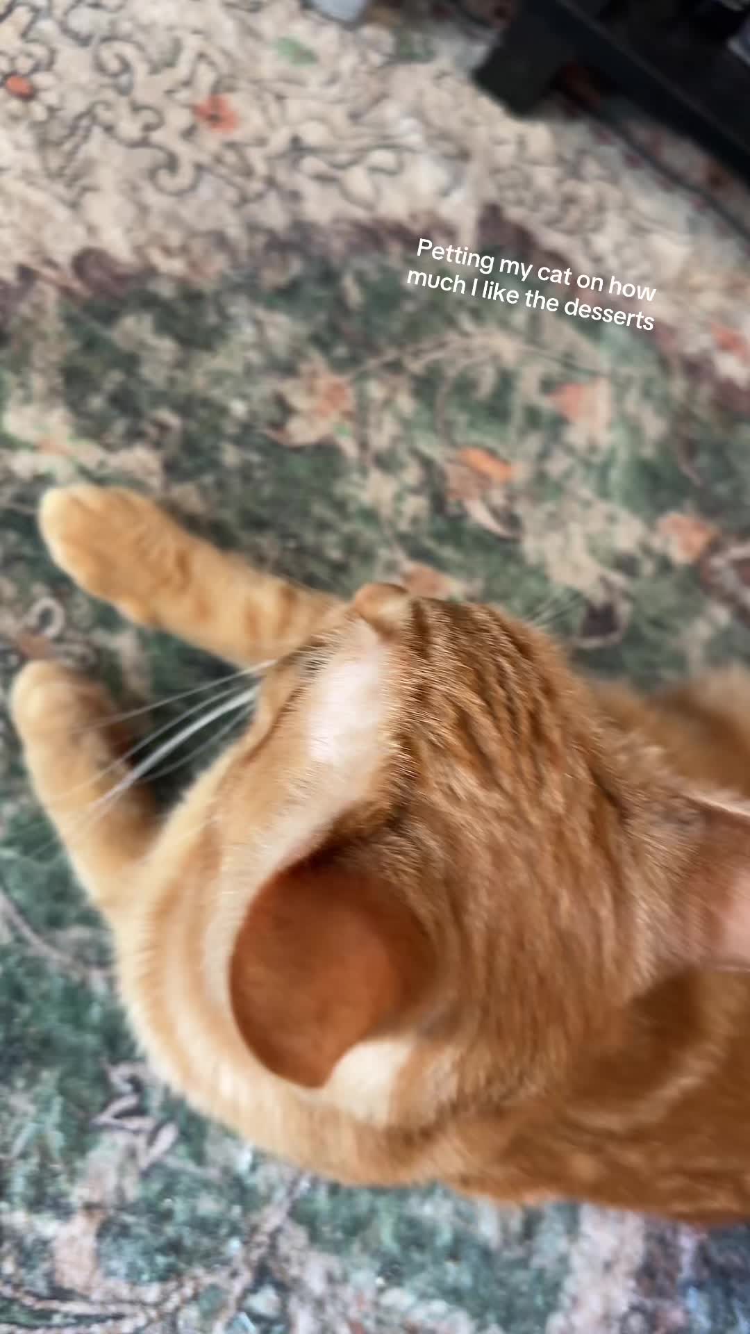 @Junebug4