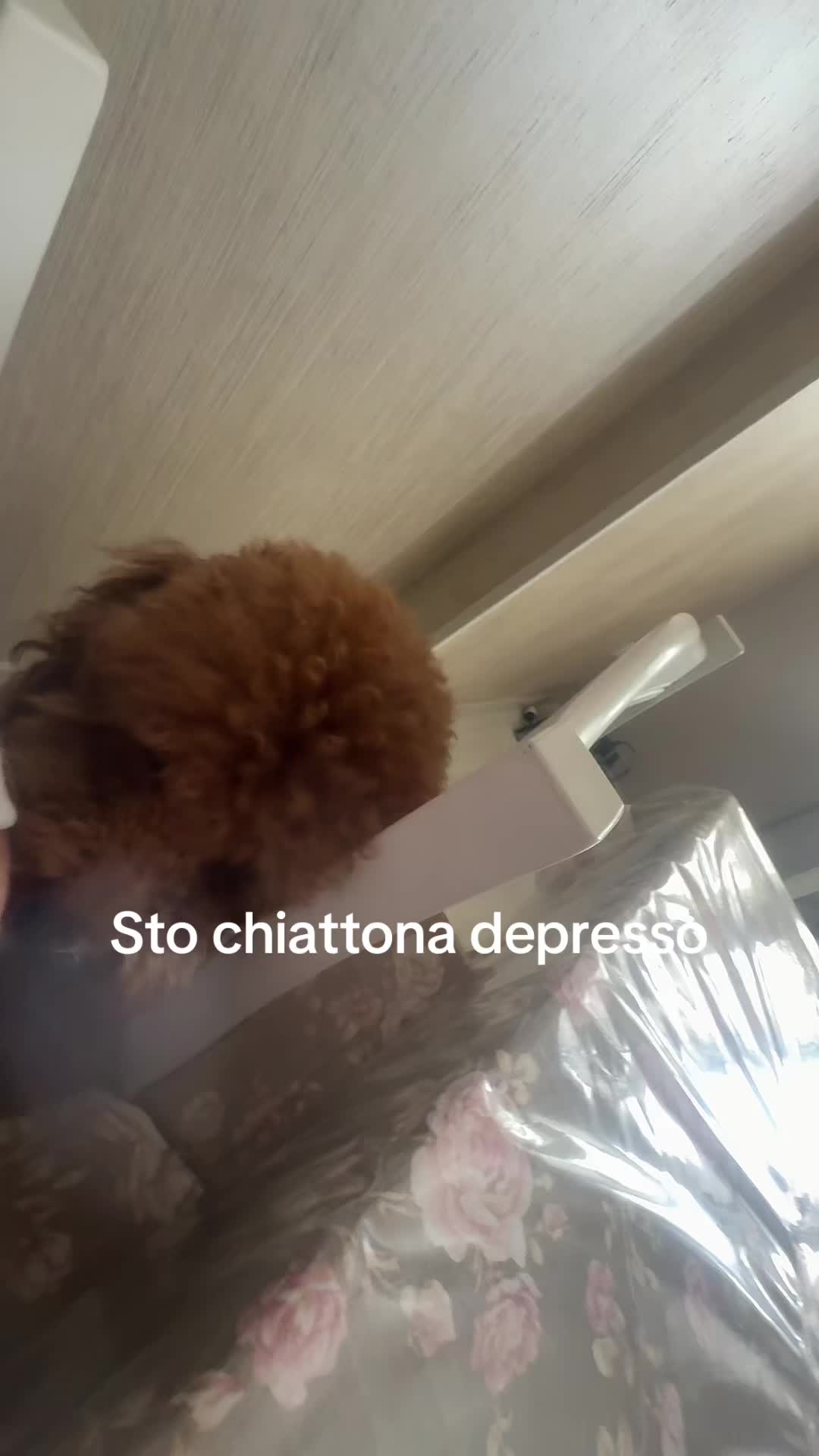 @mery