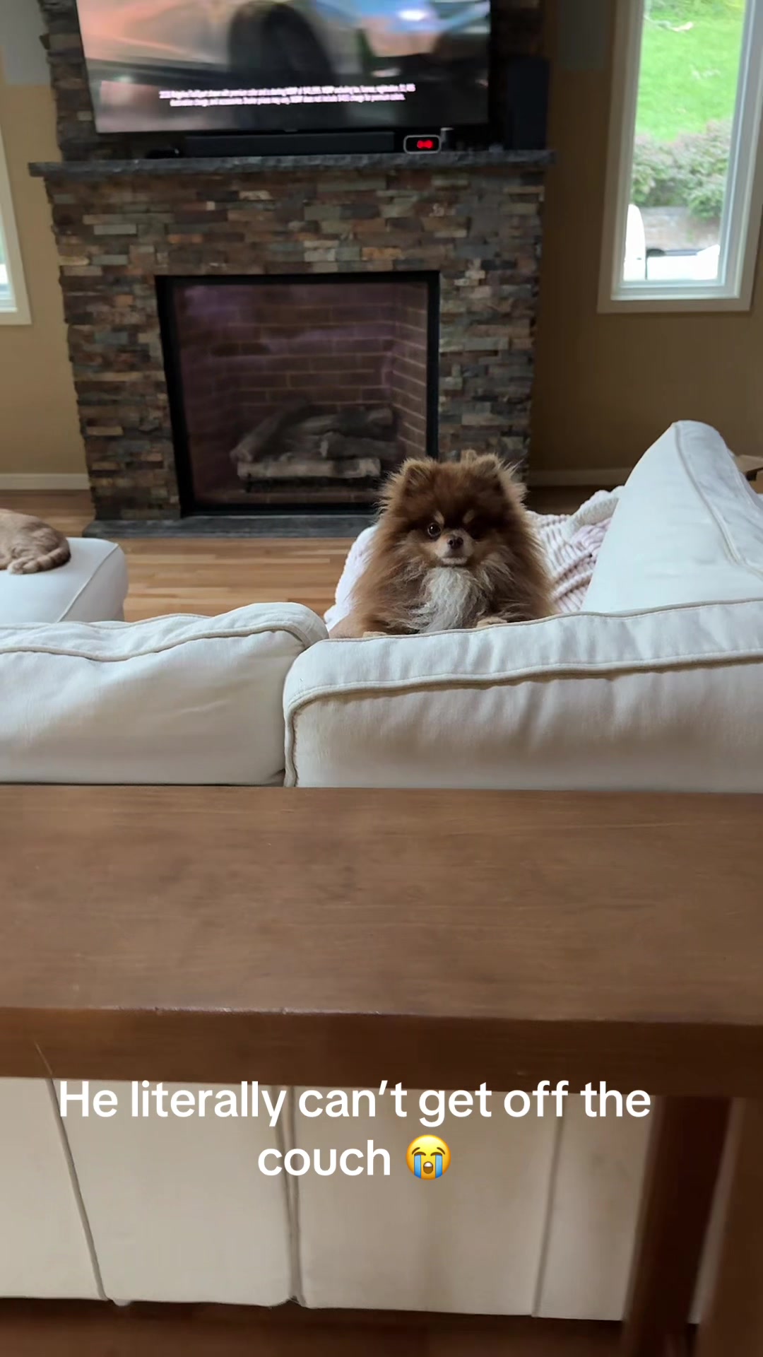 @Fingerlakes Pomeranians