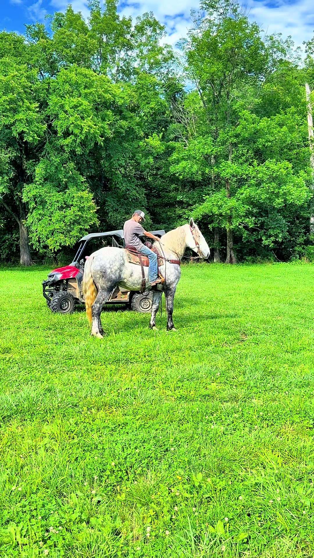 @Lucky D Ranch 🍀