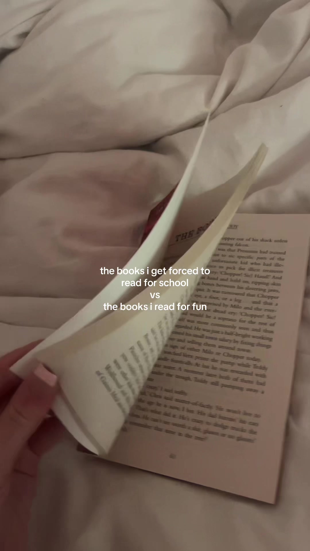 @ᥫ᭡ ₖᵢᵣₜ ⋆˚࿔