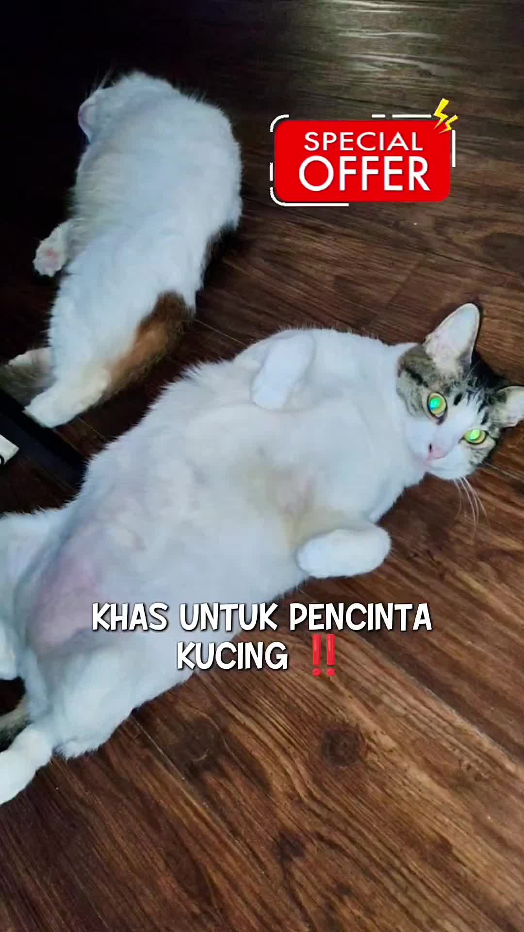 @Norazrena | Racun Tiktok
