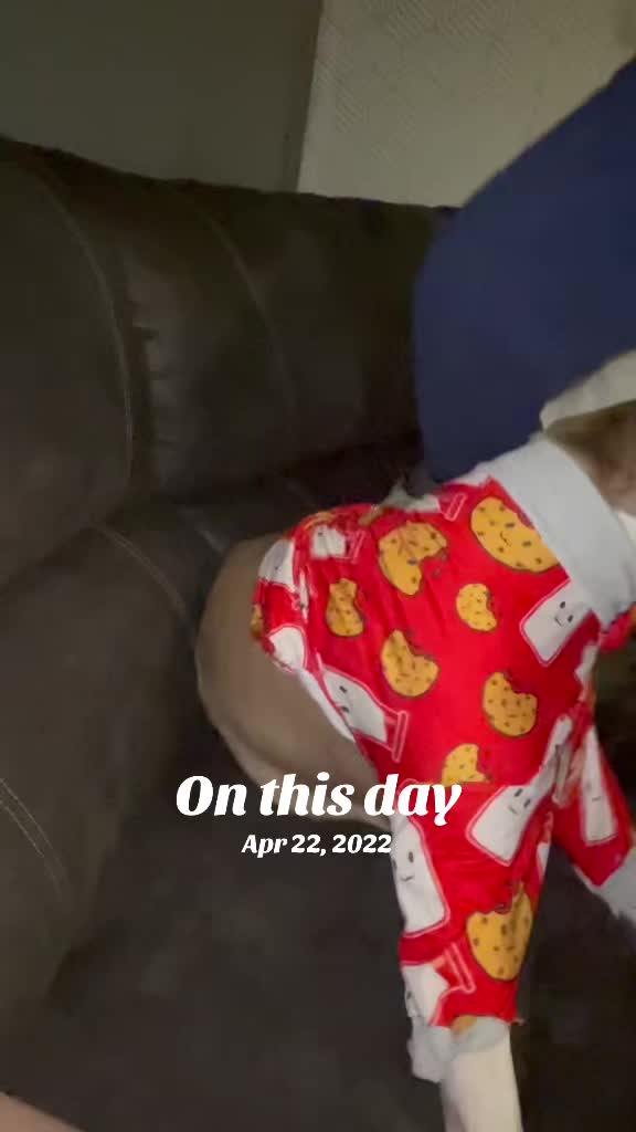 @Pittie Mom