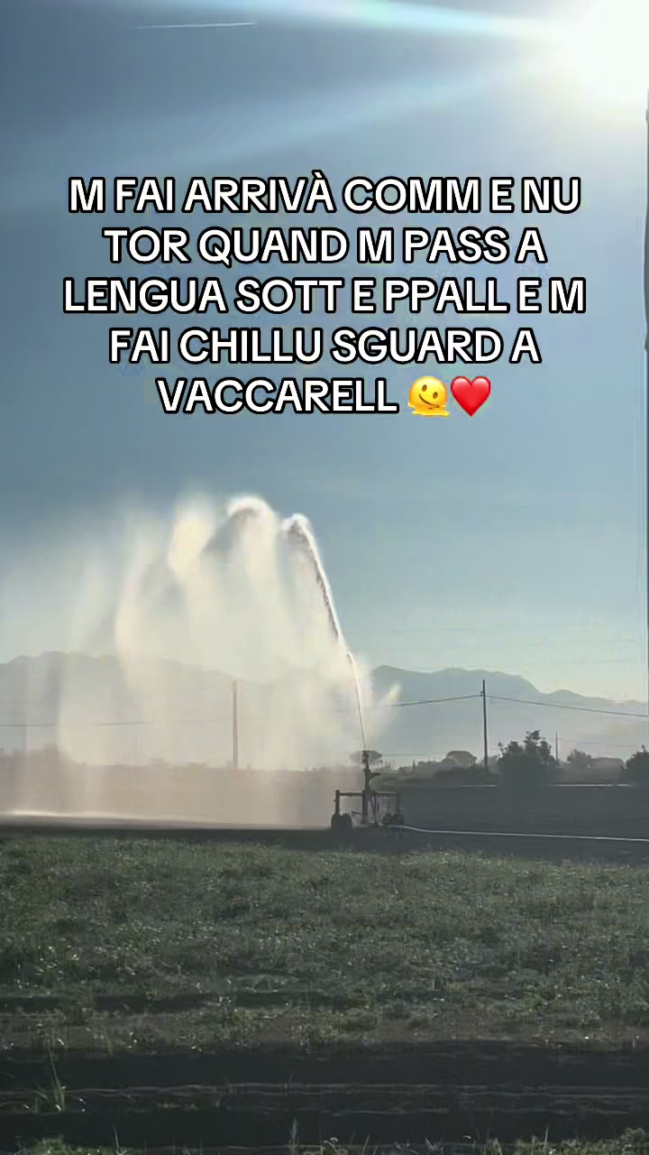 @Boccaccio19💙