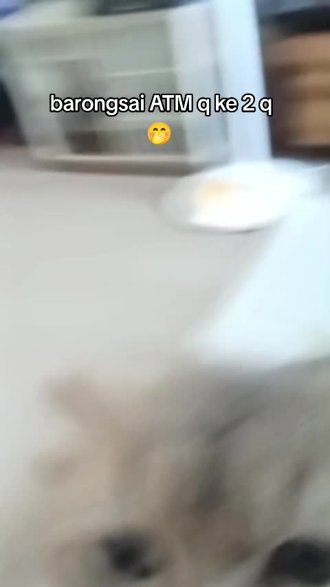 @putri