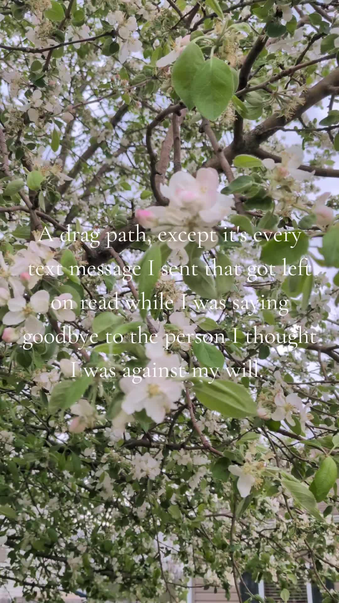 @LazyAsCorn