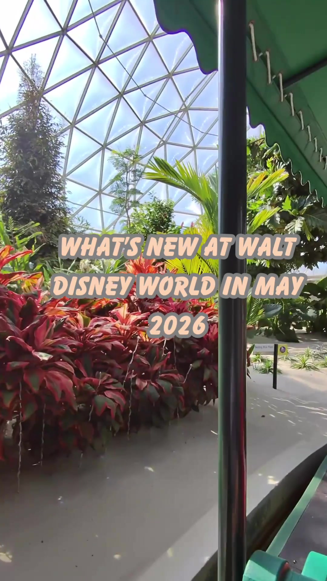 @Billy | Disney Dad Travels 🏰