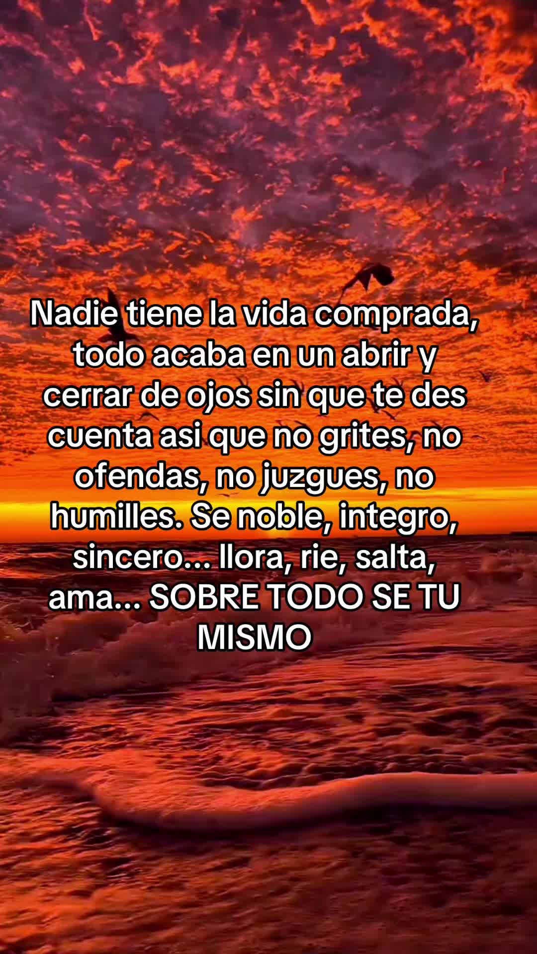 @josi13cremas