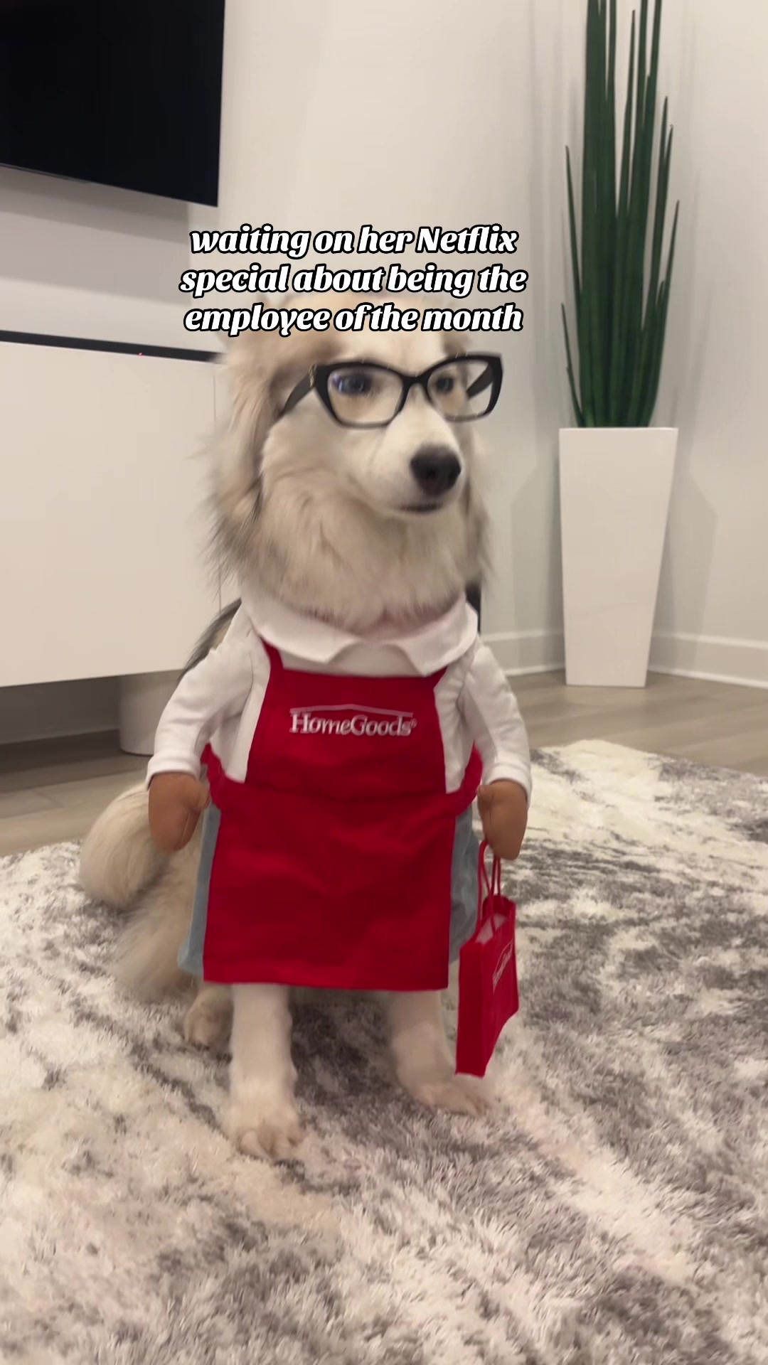 @lifewith2huskies