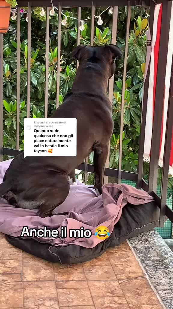 @❤️Roberta & Rey ❤️