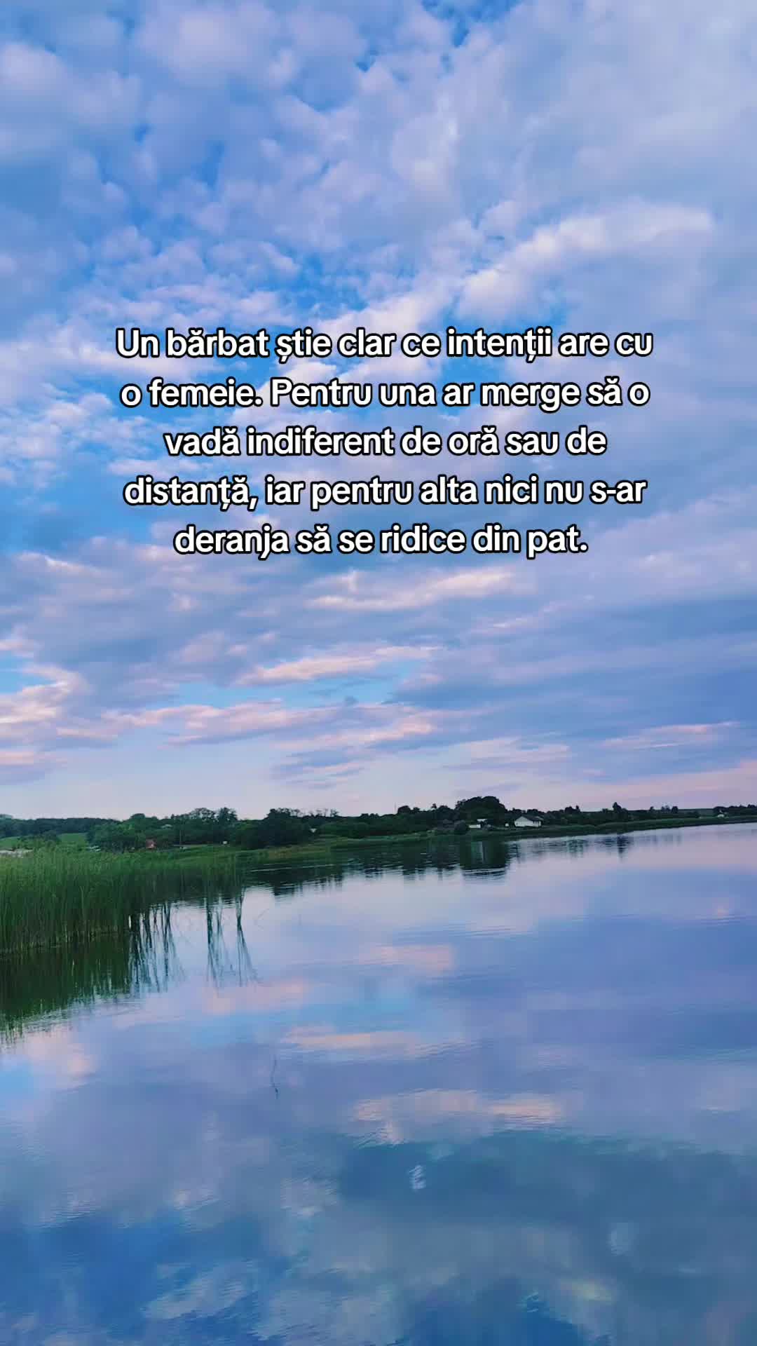 @12 ALM