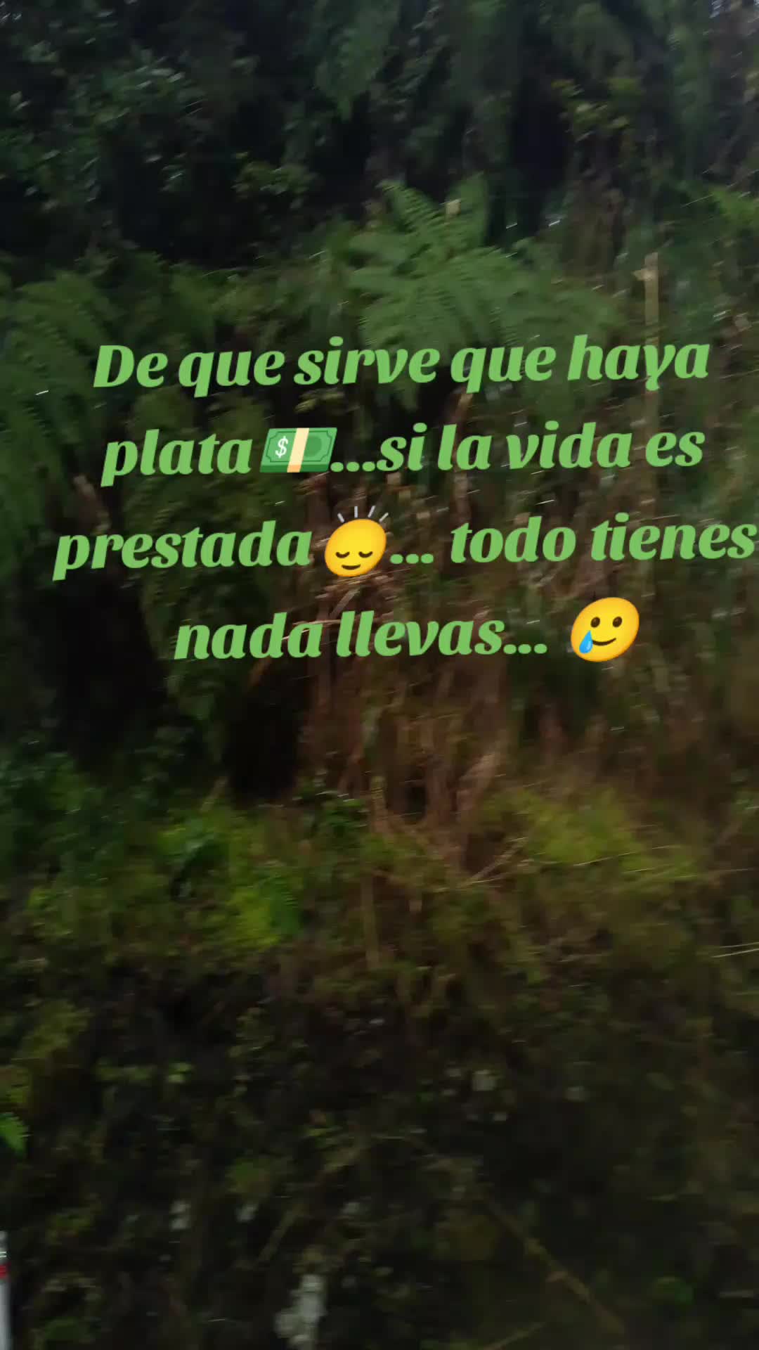 @Marcia Colque Mamani 🖤✨