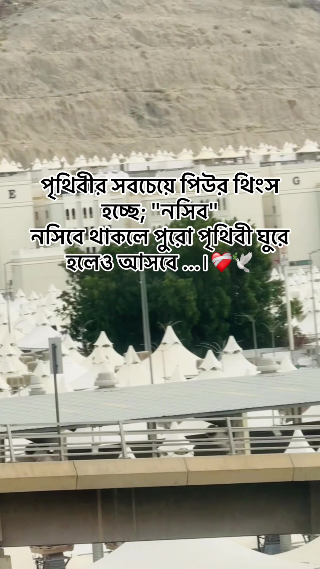 @Roja