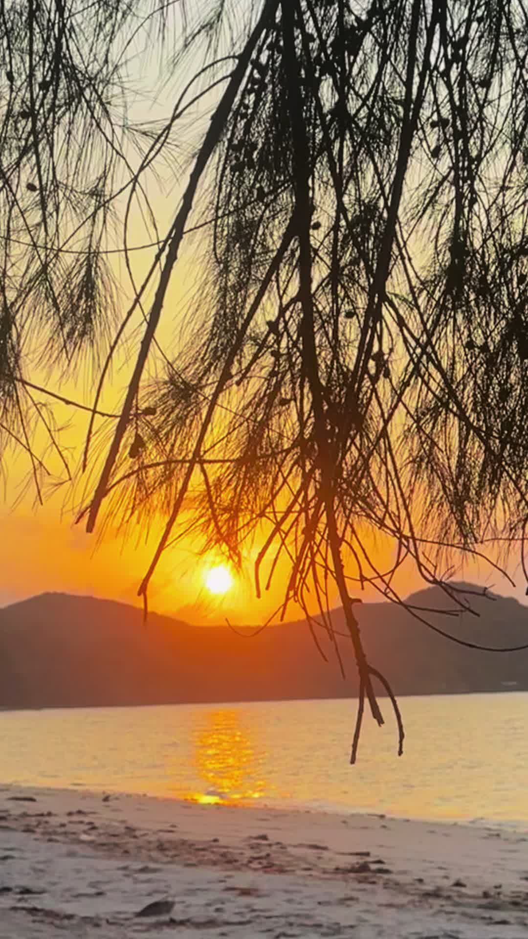 @shifulramizirazmi