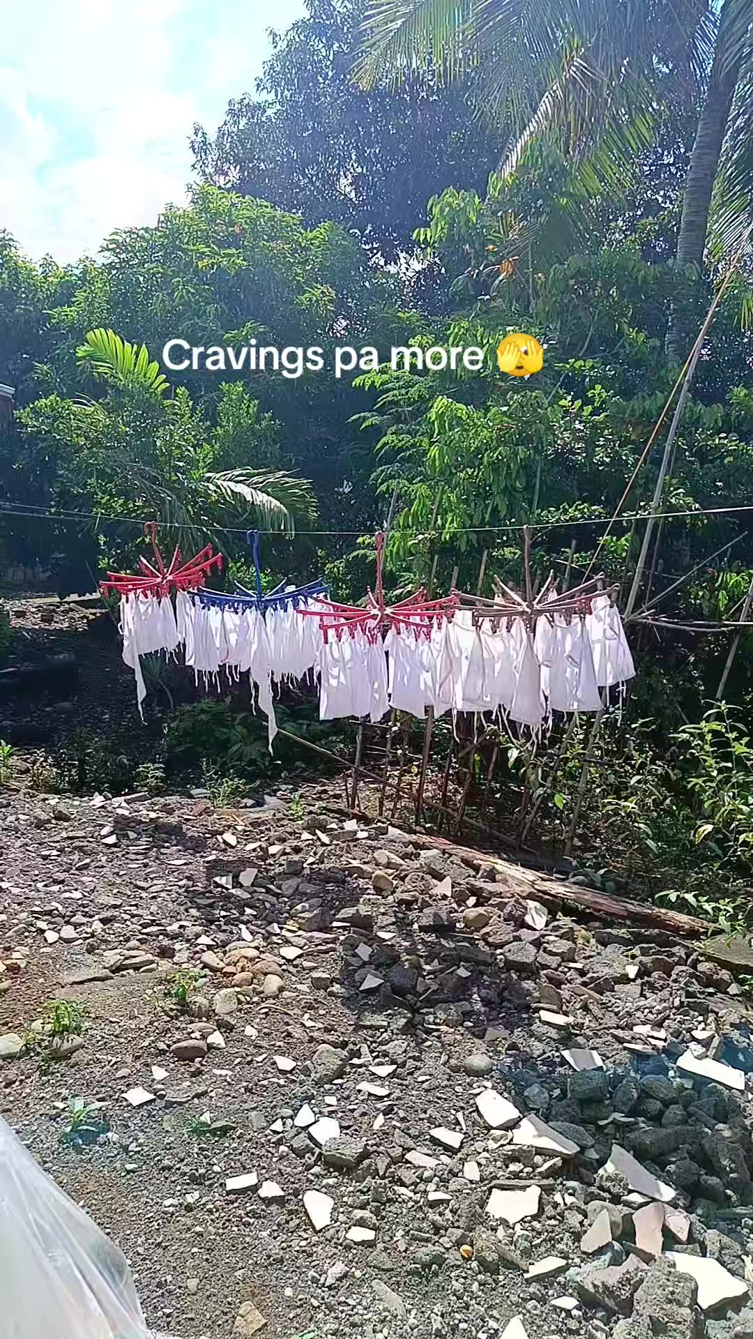 @MA.my Lec 🤱