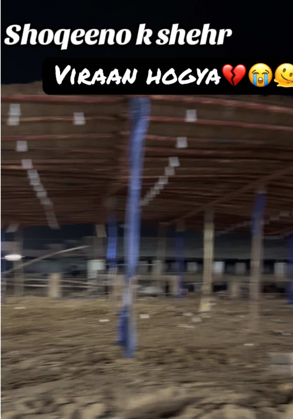 @cow lover😍