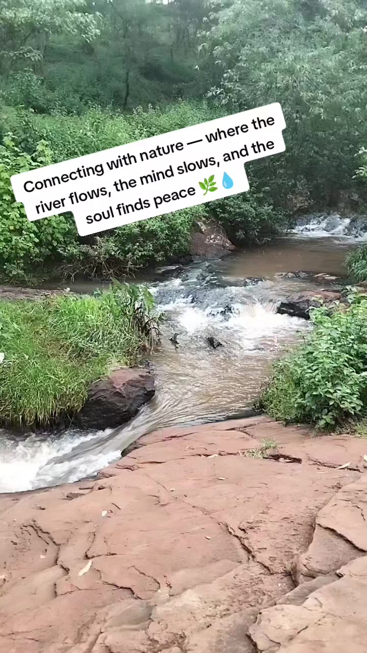 @Georgy Andrew's