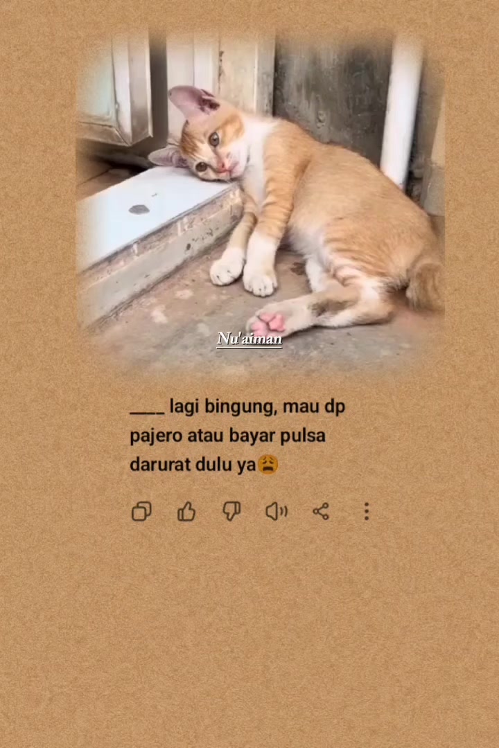 @Nu'Aiman