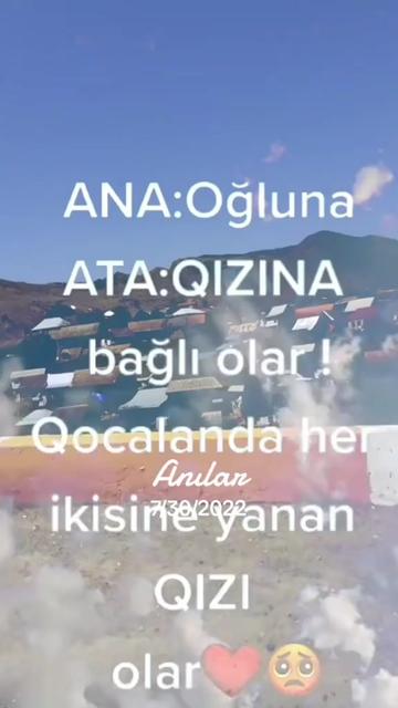 @elis_778_gence