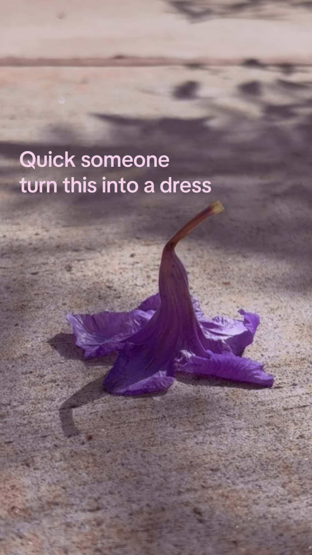 @kim