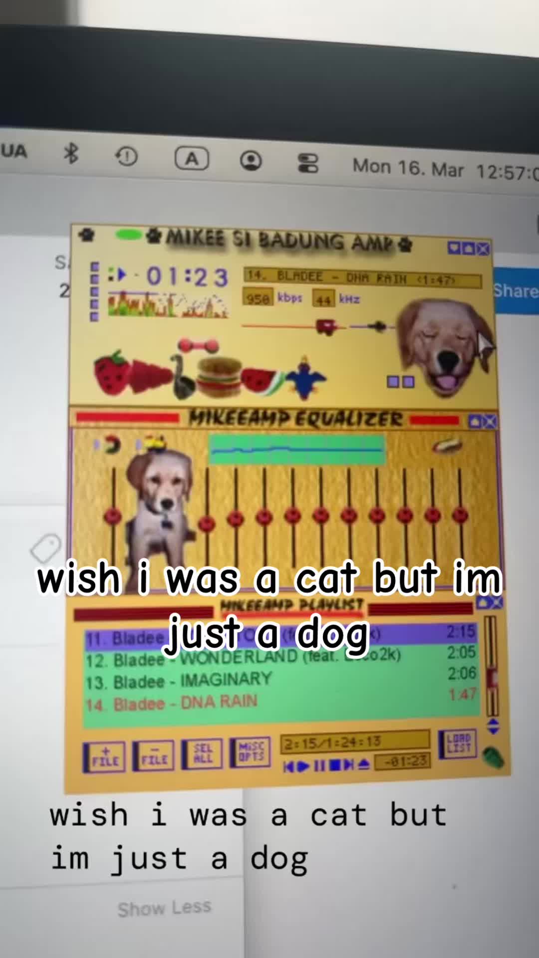 @SORI