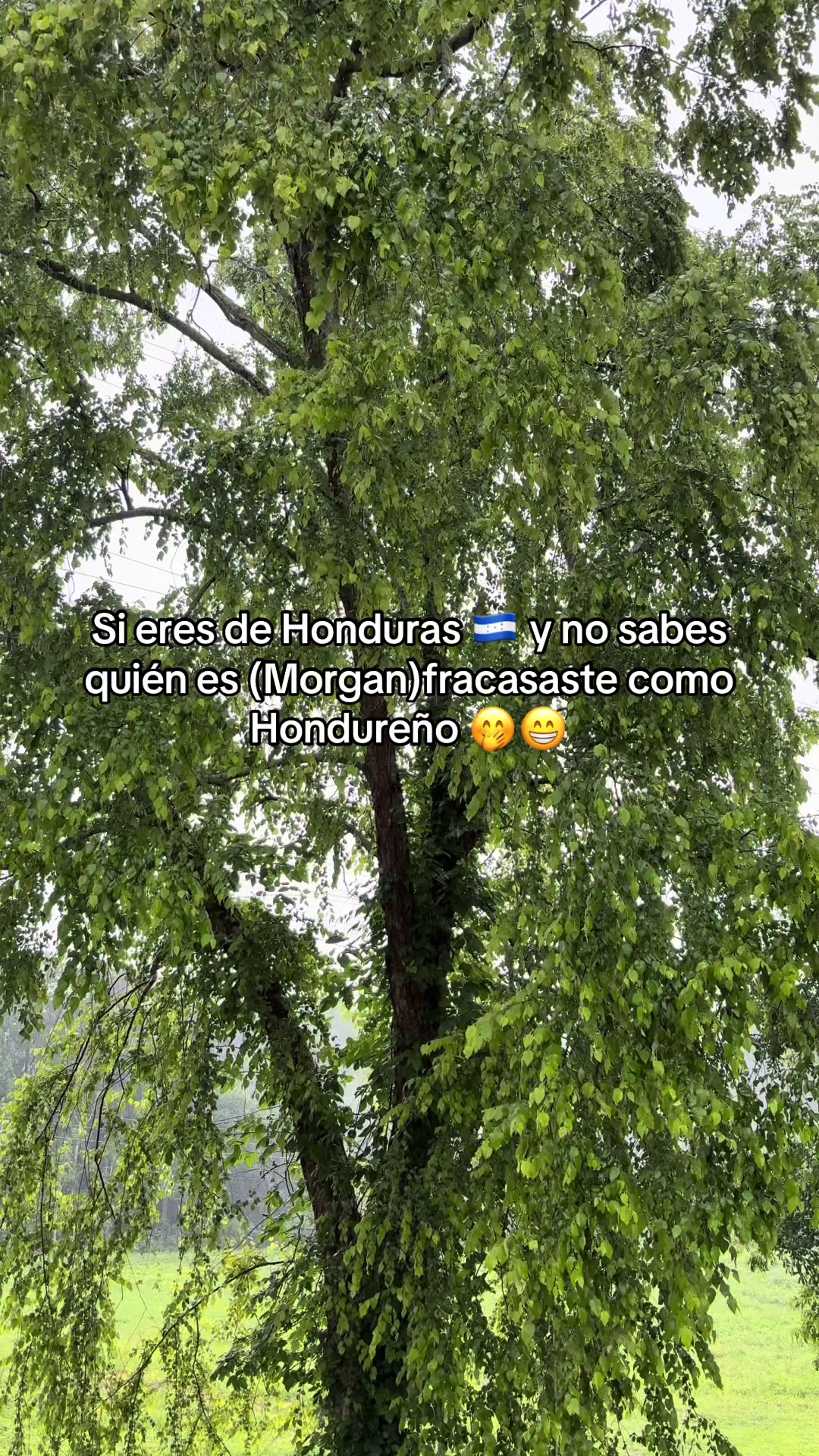 @Frases Chidas