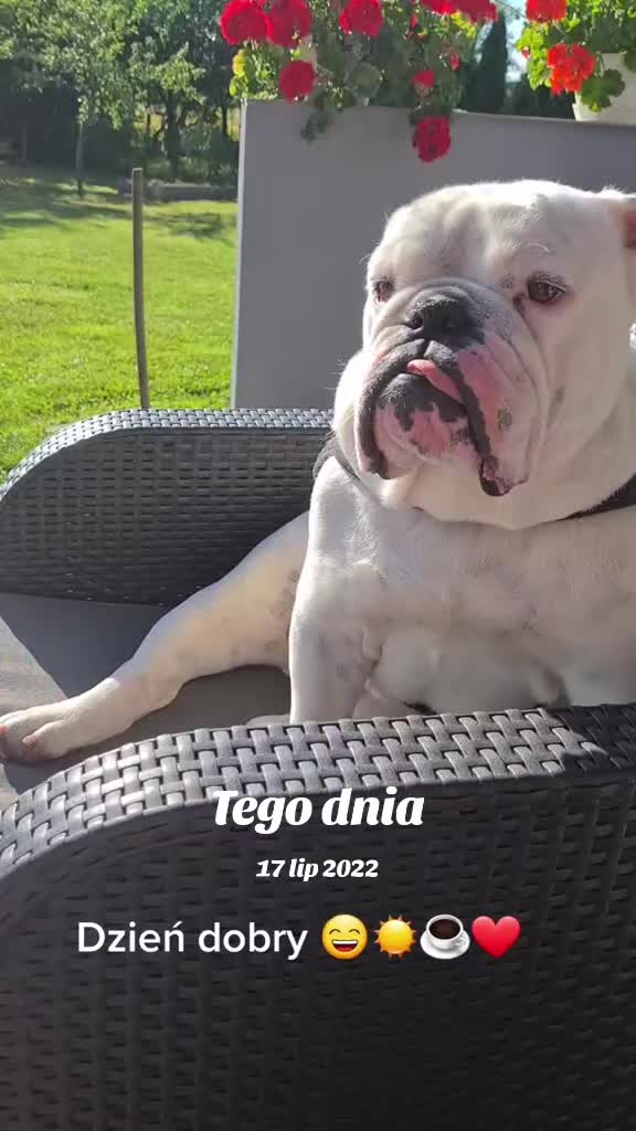 @zodiakalnyraczek1974🦞