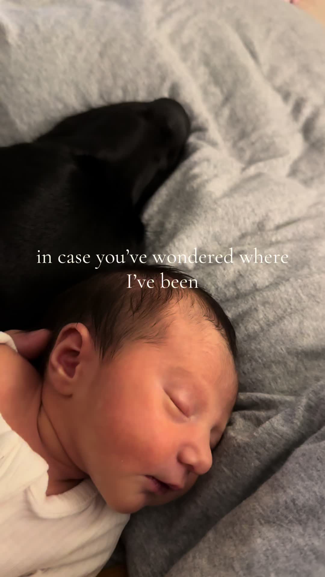 @ghostblacklab