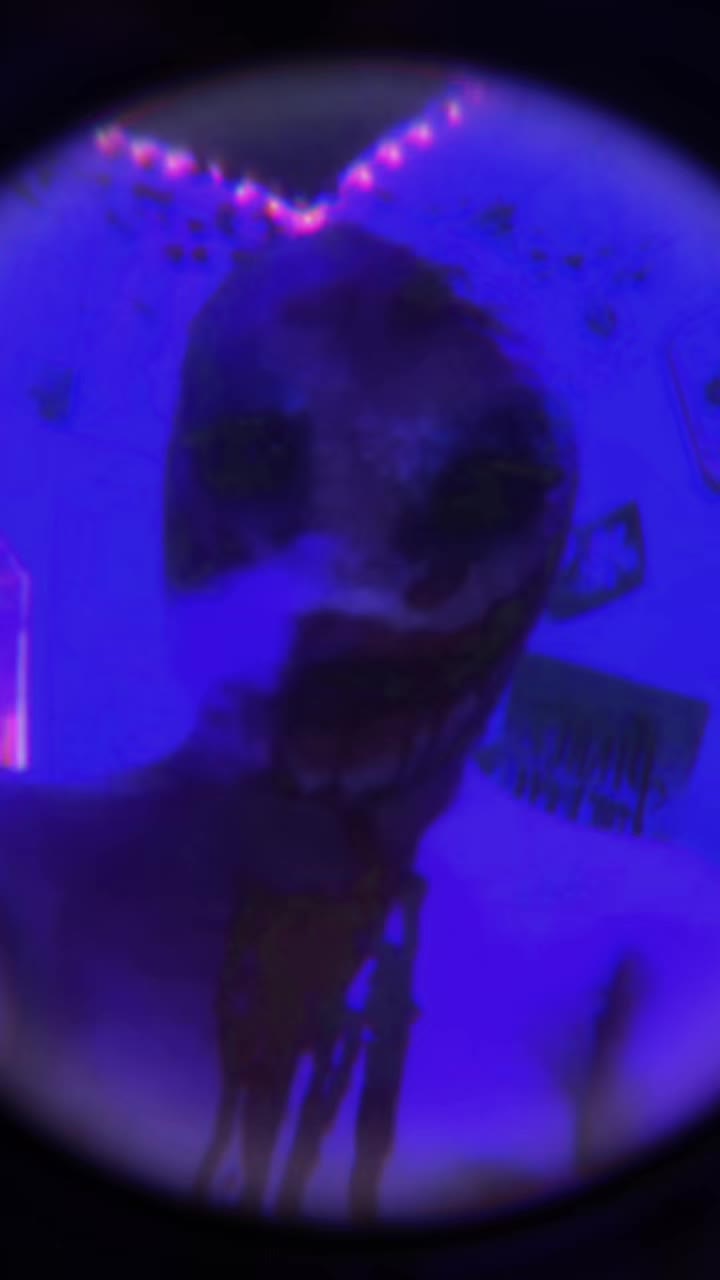 @DestinysAdude🤣💙
