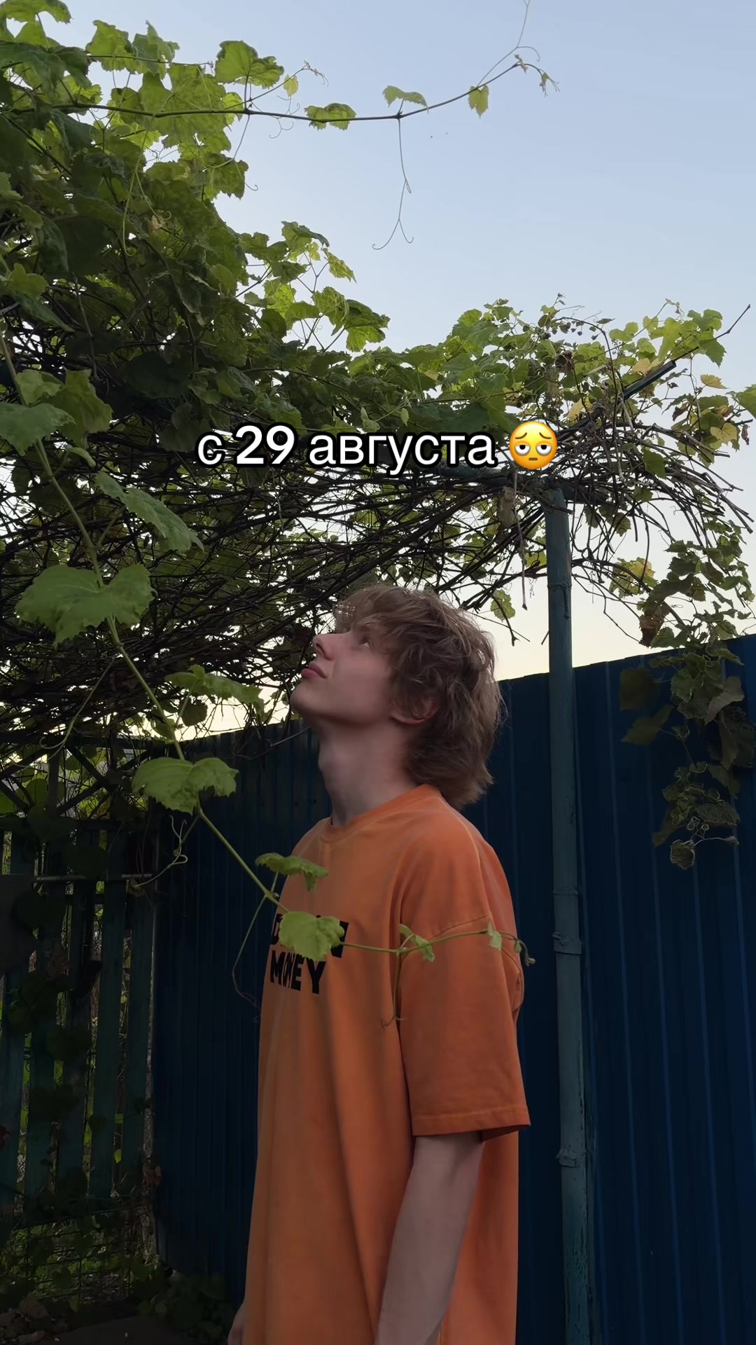 @Я МЕДР